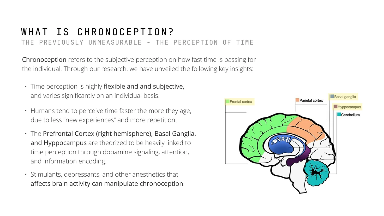 Slide titled What is chronoception. Key insights about how time perception is flexible, speeds up with age and is linked to parts of the brain, next to a labelled brain diagram.